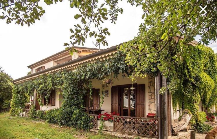 The Forest House Изерния Экстерьер фото
